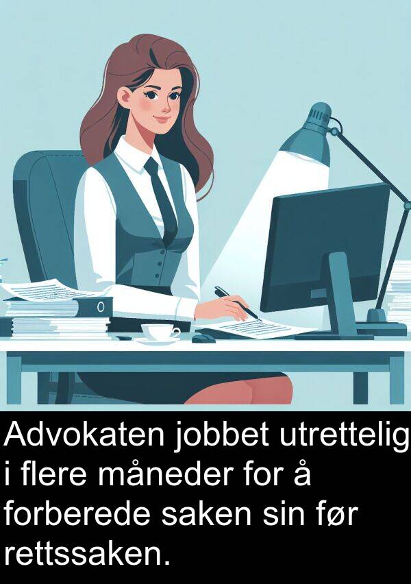 jobbet: Advokaten jobbet utrettelig i flere måneder for å forberede saken sin før rettssaken.