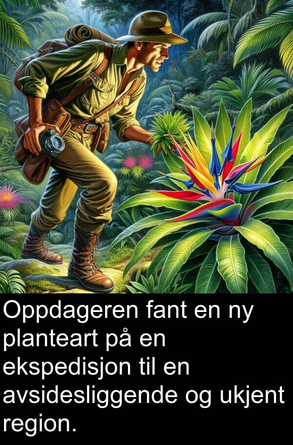 planteart: Oppdageren fant en ny planteart på en ekspedisjon til en avsidesliggende og ukjent region.