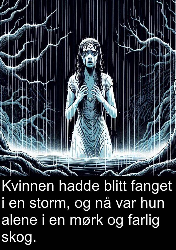 farlig: Kvinnen hadde blitt fanget i en storm, og nå var hun alene i en mørk og farlig skog.