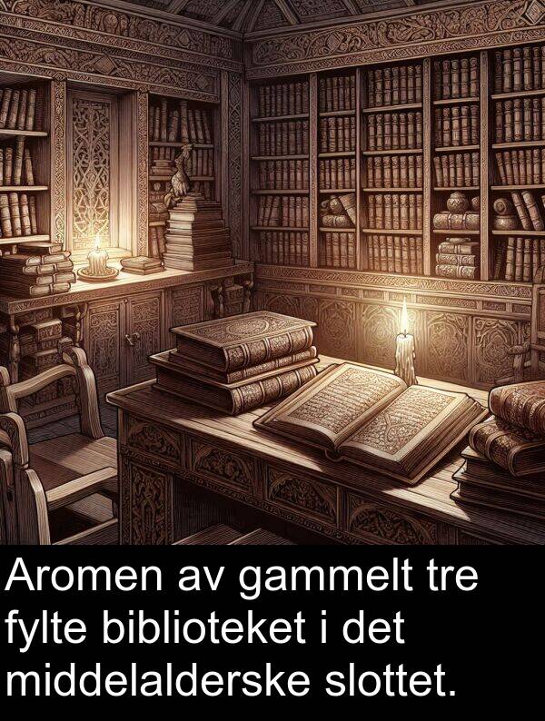 biblioteket: Aromen av gammelt tre fylte biblioteket i det middelalderske slottet.