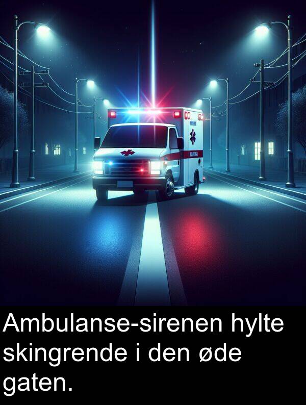 gaten: Ambulanse-sirenen hylte skingrende i den øde gaten.