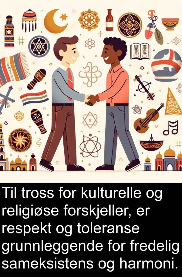 harmoni: Til tross for kulturelle og religiøse forskjeller, er respekt og toleranse grunnleggende for fredelig sameksistens og harmoni.