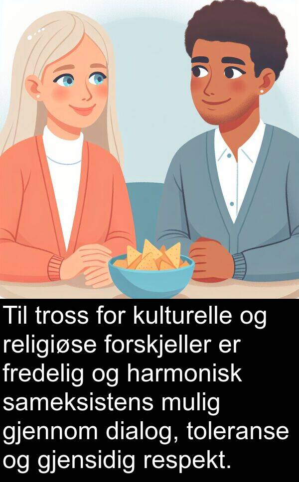 dialog: Til tross for kulturelle og religiøse forskjeller er fredelig og harmonisk sameksistens mulig gjennom dialog, toleranse og gjensidig respekt.