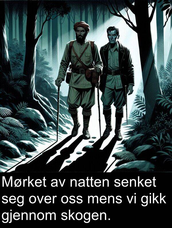 oss: Mørket av natten senket seg over oss mens vi gikk gjennom skogen.