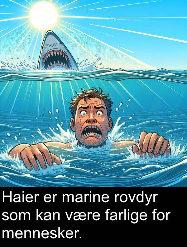 marine: Haier er marine rovdyr som kan være farlige for mennesker.