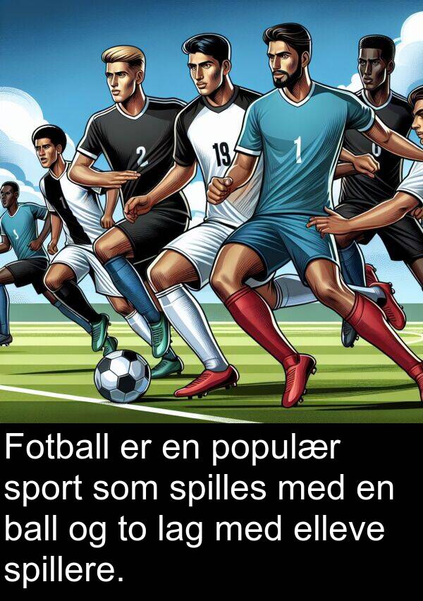 ball: Fotball er en populær sport som spilles med en ball og to lag med elleve spillere.