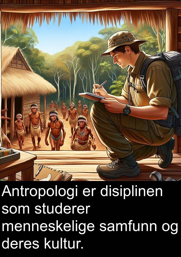 deres: Antropologi er disiplinen som studerer menneskelige samfunn og deres kultur.