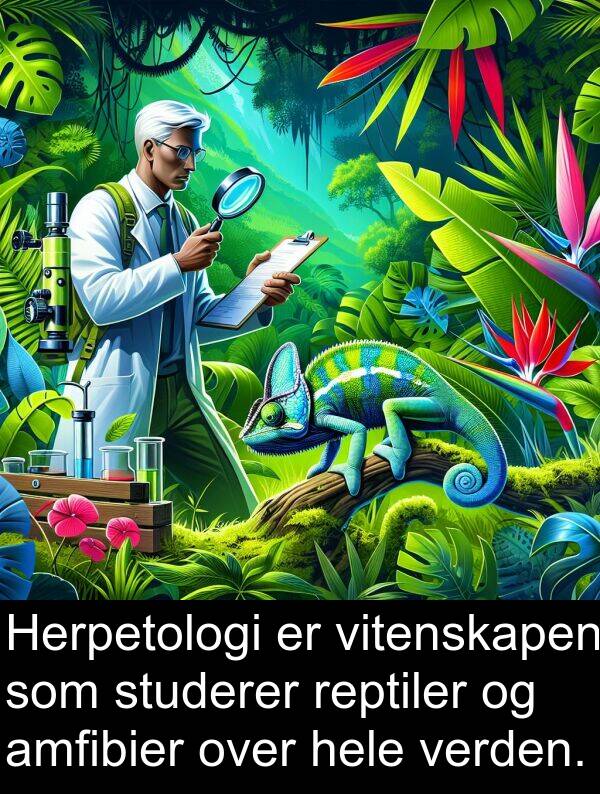 verden: Herpetologi er vitenskapen som studerer reptiler og amfibier over hele verden.