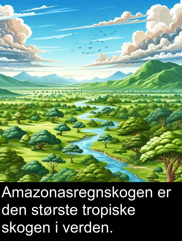 verden: Amazonasregnskogen er den største tropiske skogen i verden.