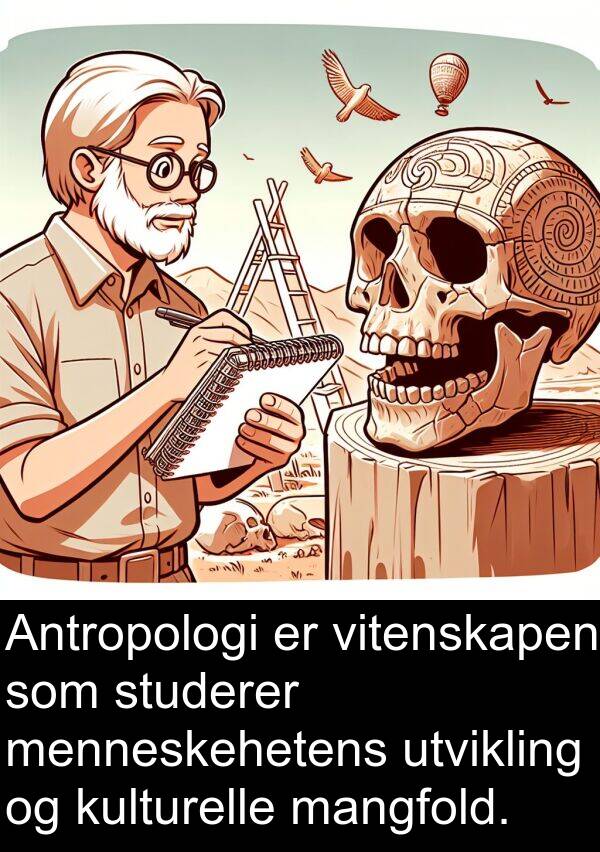 mangfold: Antropologi er vitenskapen som studerer menneskehetens utvikling og kulturelle mangfold.