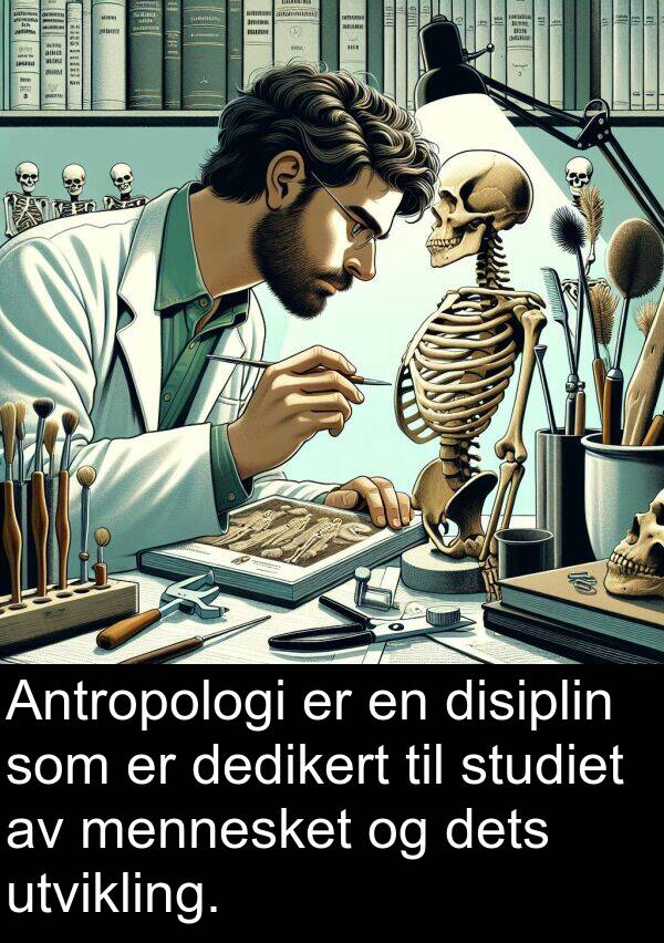 mennesket: Antropologi er en disiplin som er dedikert til studiet av mennesket og dets utvikling.