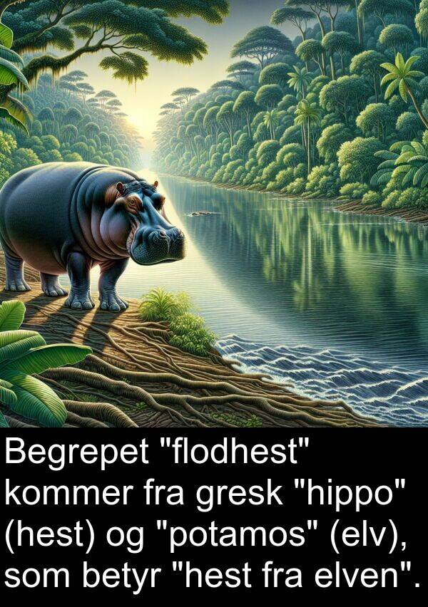 elven: Begrepet "flodhest" kommer fra gresk "hippo" (hest) og "potamos" (elv), som betyr "hest fra elven".