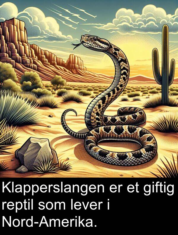 lever: Klapperslangen er et giftig reptil som lever i Nord-Amerika.