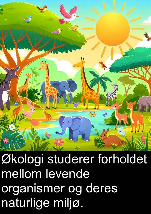 organismer: Økologi studerer forholdet mellom levende organismer og deres naturlige miljø.