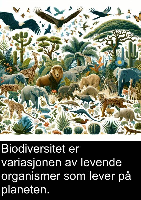 organismer: Biodiversitet er variasjonen av levende organismer som lever på planeten.