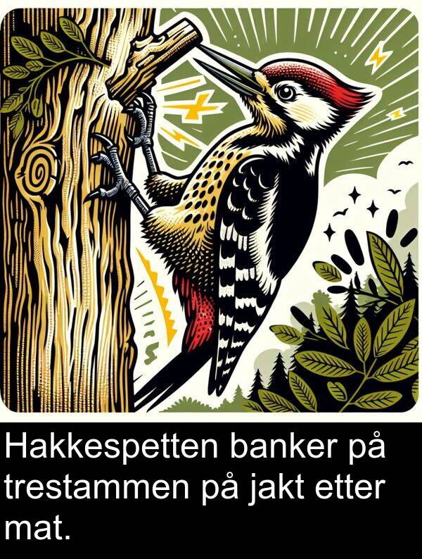 jakt: Hakkespetten banker på trestammen på jakt etter mat.