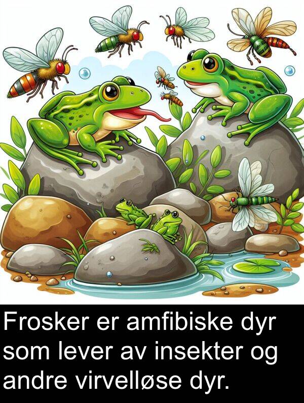 dyr: Frosker er amfibiske dyr som lever av insekter og andre virvelløse dyr.