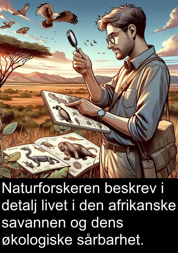 beskrev: Naturforskeren beskrev i detalj livet i den afrikanske savannen og dens økologiske sårbarhet.