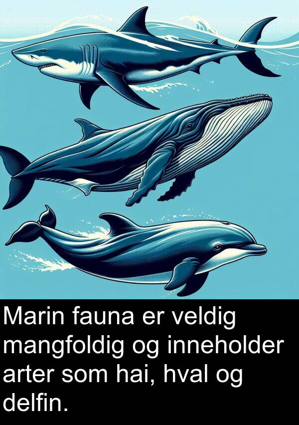 delfin: Marin fauna er veldig mangfoldig og inneholder arter som hai, hval og delfin.