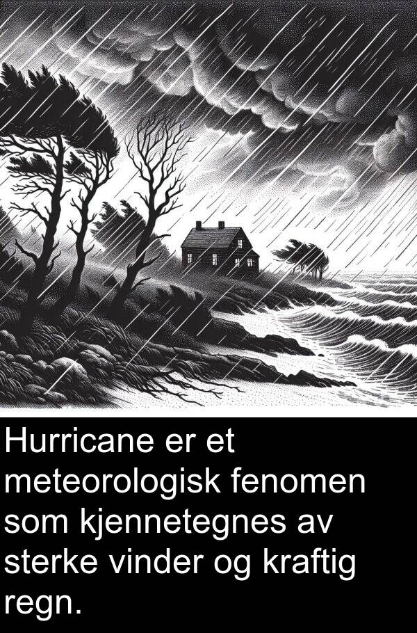 meteorologisk: Hurricane er et meteorologisk fenomen som kjennetegnes av sterke vinder og kraftig regn.