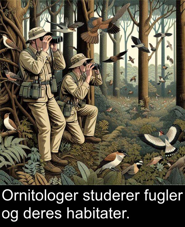 habitater: Ornitologer studerer fugler og deres habitater.