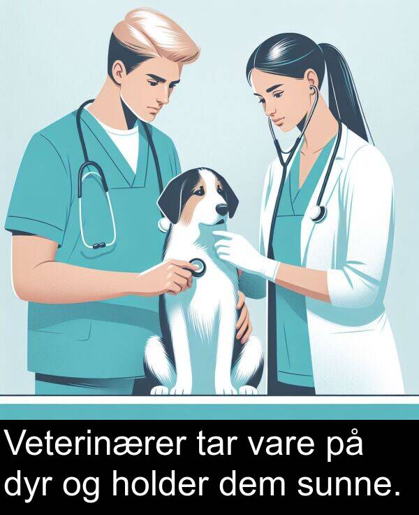 dem: Veterinærer tar vare på dyr og holder dem sunne.