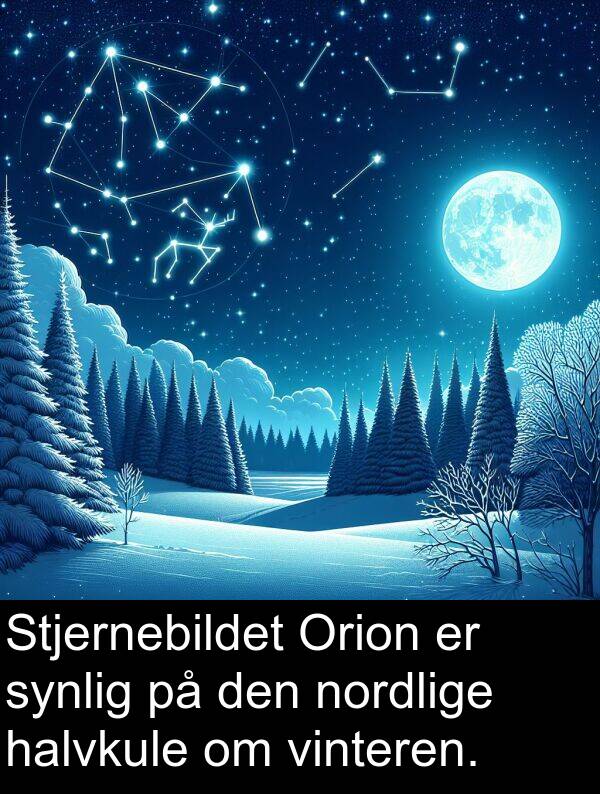 halvkule: Stjernebildet Orion er synlig på den nordlige halvkule om vinteren.