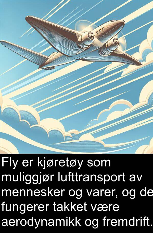 varer: Fly er kjøretøy som muliggjør lufttransport av mennesker og varer, og de fungerer takket være aerodynamikk og fremdrift.