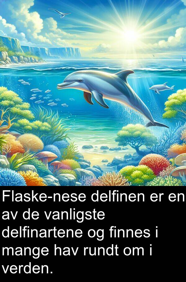 delfinen: Flaske-nese delfinen er en av de vanligste delfinartene og finnes i mange hav rundt om i verden.