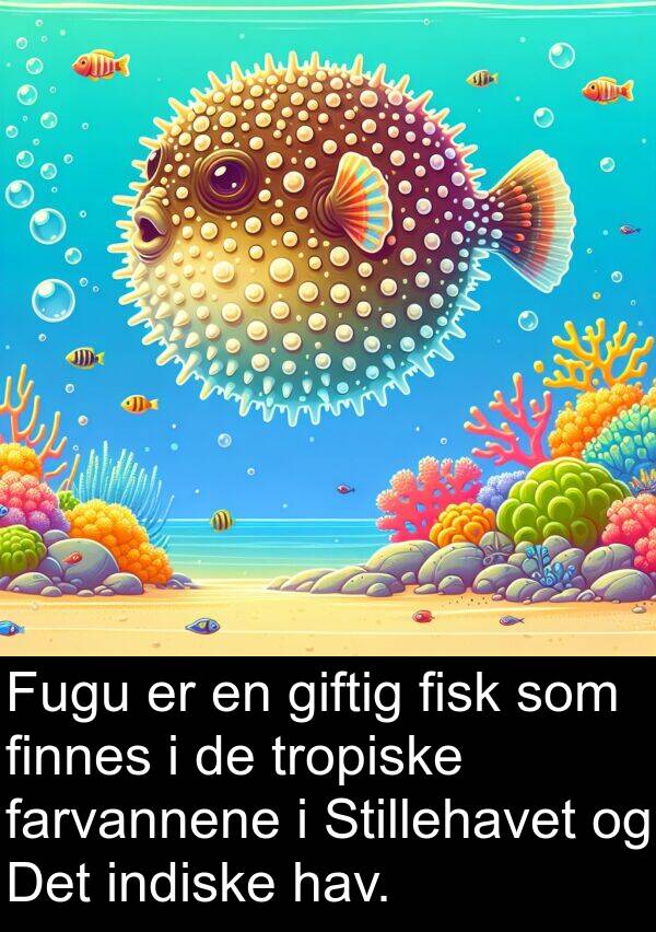 hav: Fugu er en giftig fisk som finnes i de tropiske farvannene i Stillehavet og Det indiske hav.