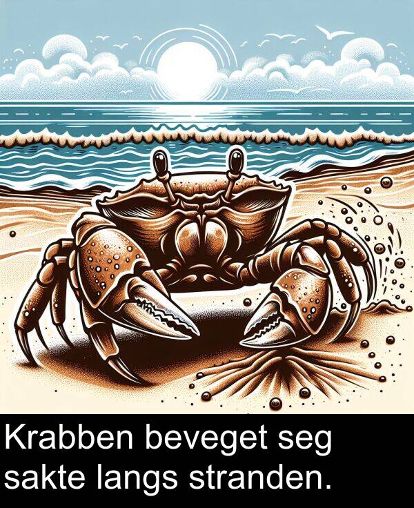 beveget: Krabben beveget seg sakte langs stranden.