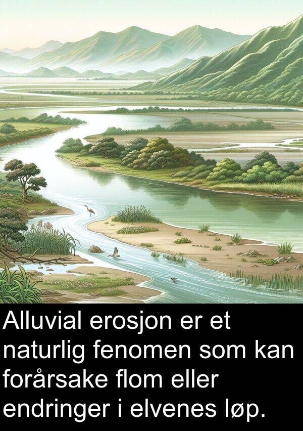 elvenes: Alluvial erosjon er et naturlig fenomen som kan forårsake flom eller endringer i elvenes løp.