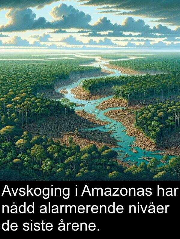 nivåer: Avskoging i Amazonas har nådd alarmerende nivåer de siste årene.