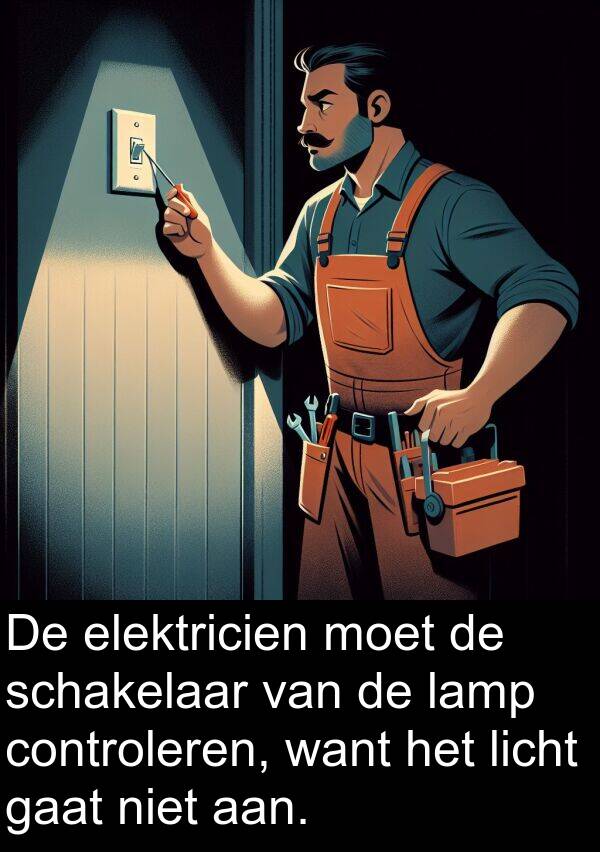 schakelaar: De elektricien moet de schakelaar van de lamp controleren, want het licht gaat niet aan.