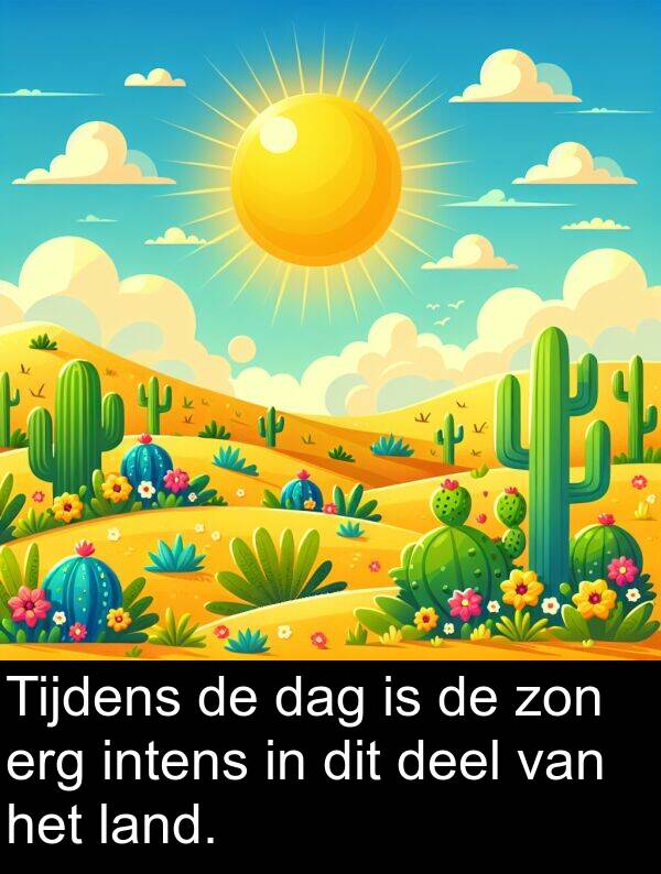 dag: Tijdens de dag is de zon erg intens in dit deel van het land.