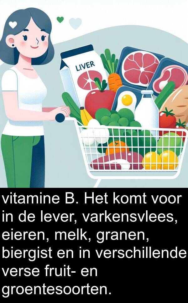 biergist: vitamine B. Het komt voor in de lever, varkensvlees, eieren, melk, granen, biergist en in verschillende verse fruit- en groentesoorten.