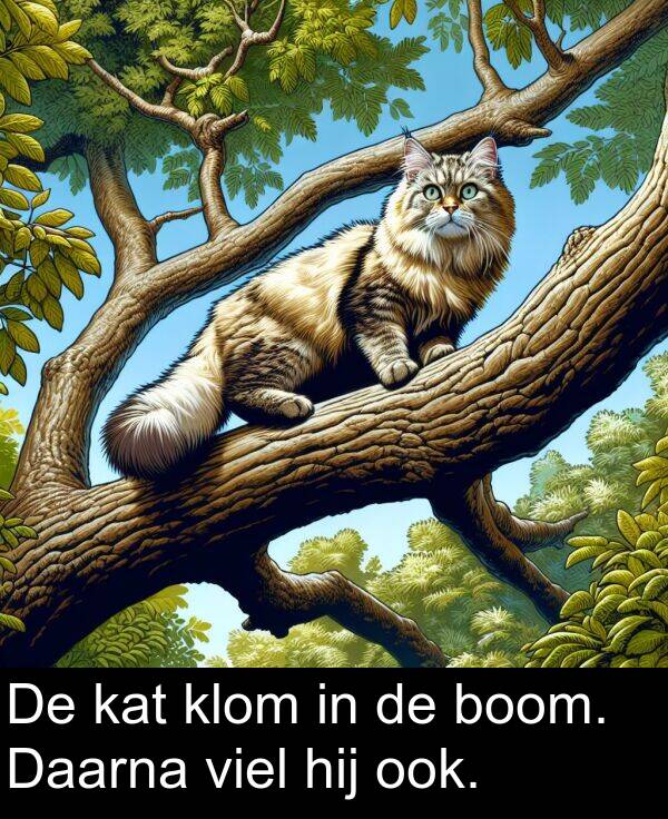 kat: De kat klom in de boom. Daarna viel hij ook.