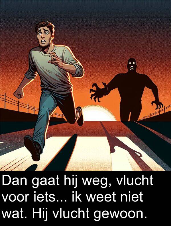 weg: Dan gaat hij weg, vlucht voor iets... ik weet niet wat. Hij vlucht gewoon.