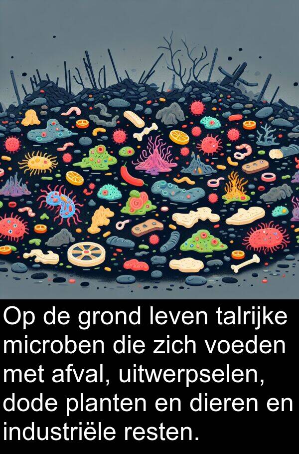 dieren: Op de grond leven talrijke microben die zich voeden met afval, uitwerpselen, dode planten en dieren en industriële resten.