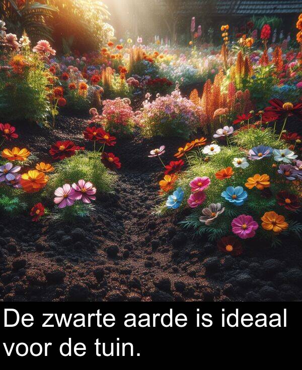 aarde: De zwarte aarde is ideaal voor de tuin.