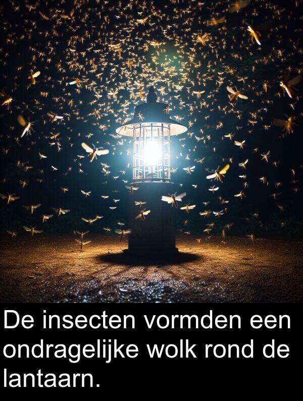 insecten: De insecten vormden een ondragelijke wolk rond de lantaarn.