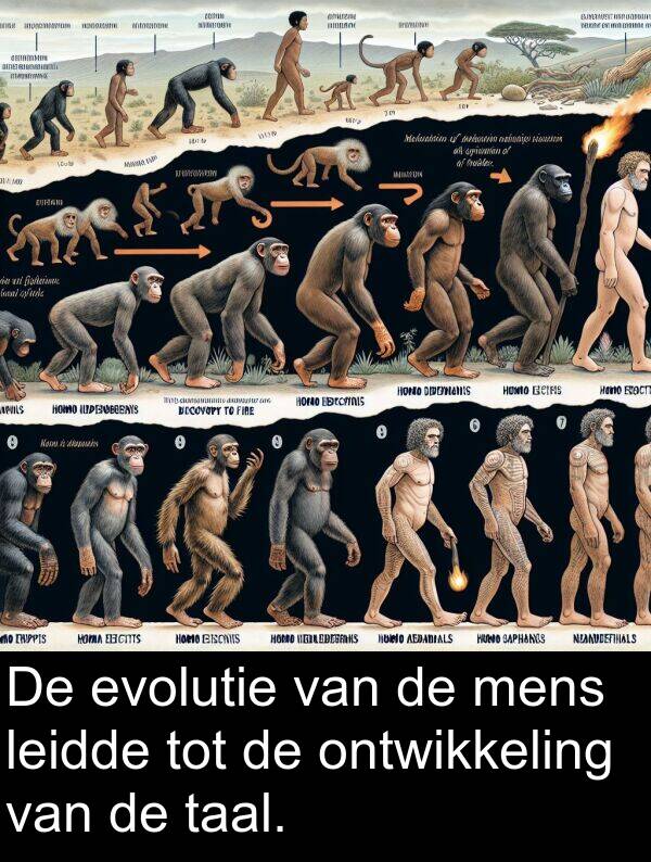 mens: De evolutie van de mens leidde tot de ontwikkeling van de taal.