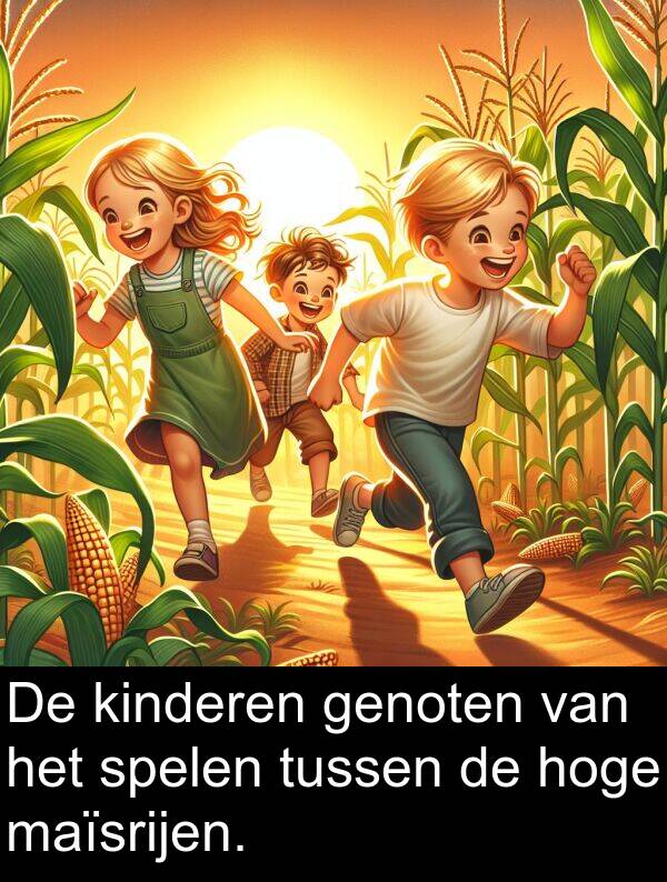 kinderen: De kinderen genoten van het spelen tussen de hoge maïsrijen.