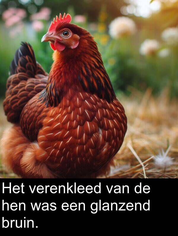 bruin: Het verenkleed van de hen was een glanzend bruin.