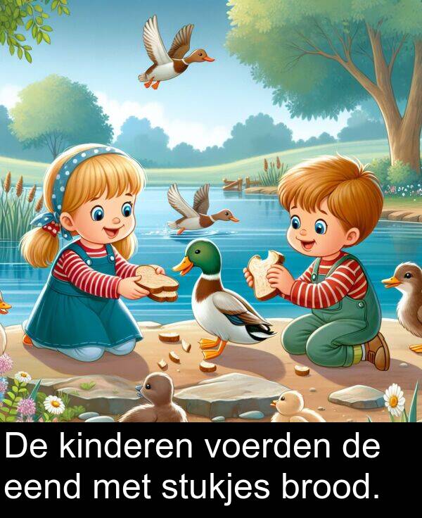 kinderen: De kinderen voerden de eend met stukjes brood.