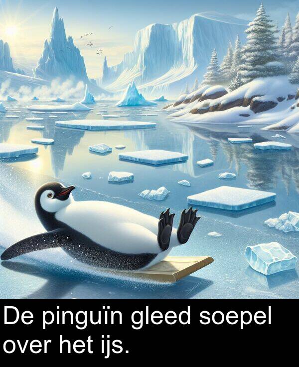 ijs: De pinguïn gleed soepel over het ijs.