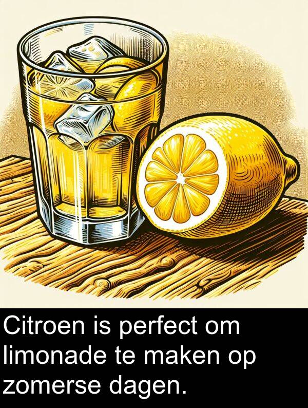 zomerse: Citroen is perfect om limonade te maken op zomerse dagen.