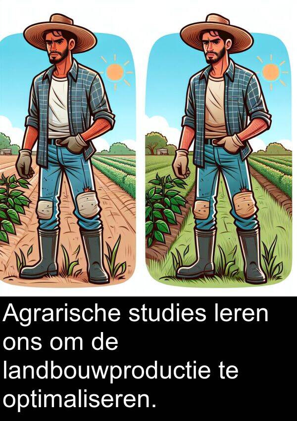 leren: Agrarische studies leren ons om de landbouwproductie te optimaliseren.