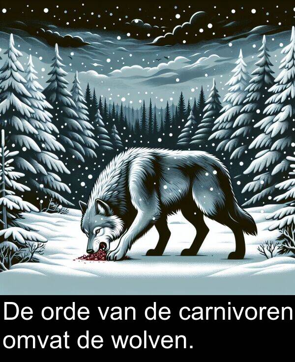 carnivoren: De orde van de carnivoren omvat de wolven.