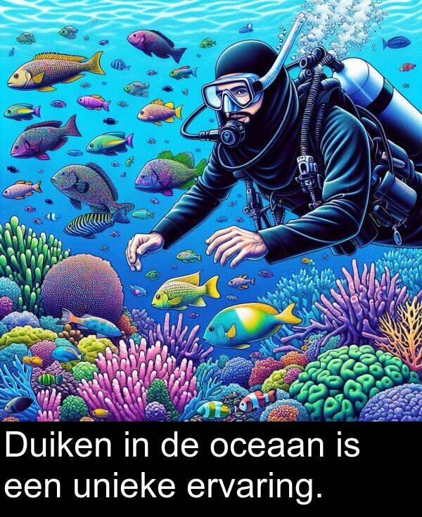 oceaan: Duiken in de oceaan is een unieke ervaring.